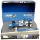 TYRRELL FORD 001 " VINTAGE " ( SCALEXTRIC )
